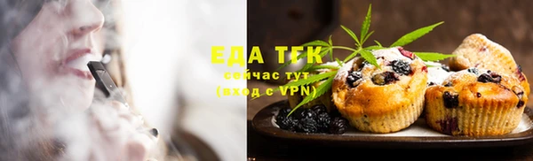 соль ск Новозыбков