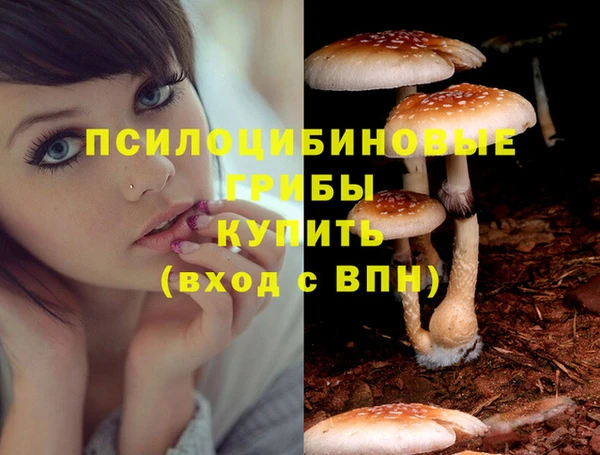 хмурый Туринск