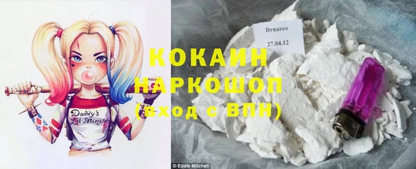 стаф Тутаев