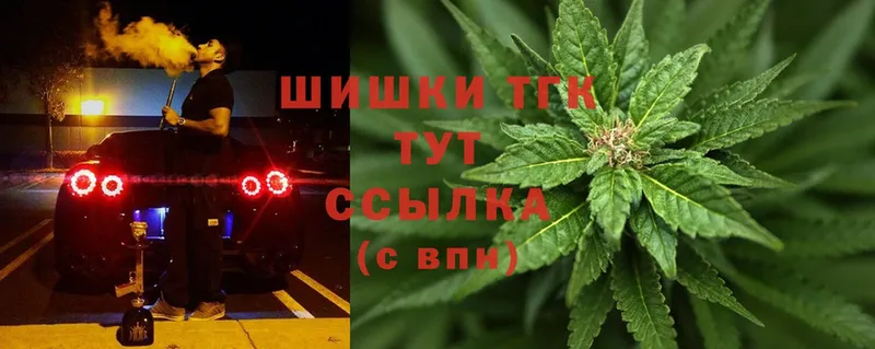 где купить наркоту  Белая Холуница  Марихуана MAZAR 