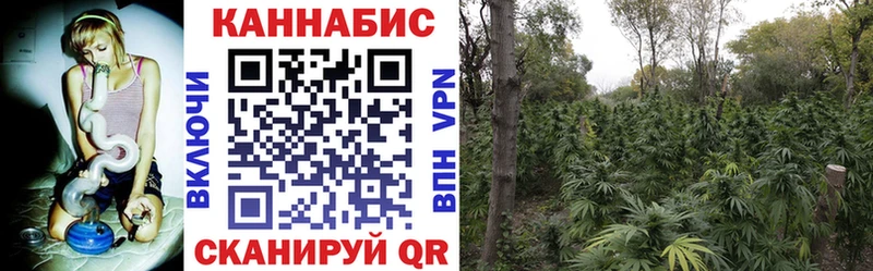 где можно купить наркотик  Белая Холуница  Канабис план 